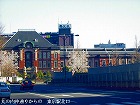 RIM00040.jpg