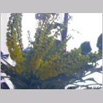 20060112pm03.jpg