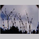 20060202kt02.jpg