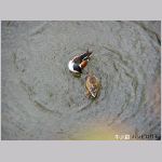 20060202kt07.jpg