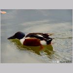 20060202kt10.jpg