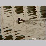 20060202kt11.jpg