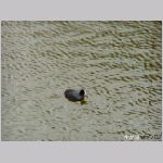 20060202kt12.jpg