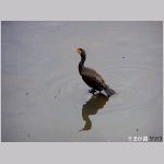 20060202kt13.jpg