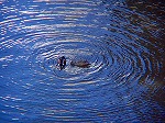 20060210kt06.jpg