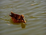 20060210kt07.jpg