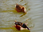 20060210kt08.jpg