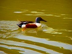 20060210kt09.jpg