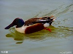 20060210kt10.jpg