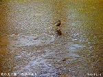 20060210kt11.jpg
