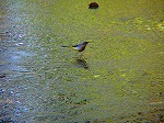 20060210kt12.jpg