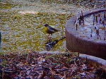 20060210kt14.jpg