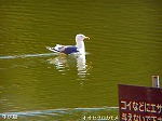 20060210kt16.jpg