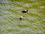 20060210kt17.jpg