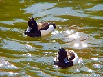 20060210kt18.jpg