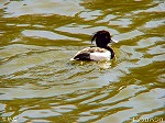 20060210kt19.jpg