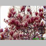 20060323ic01.jpg