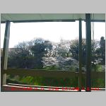 20060331tsh1.jpg