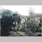 20060331tsh2.jpg