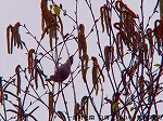 P4070095.jpg