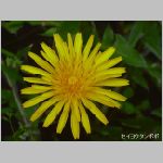 20060413ktn06.jpg