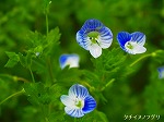 20060421ktn07.jpg