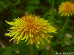 20060421ktn08.jpg