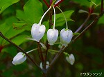 20060421ktn09.jpg