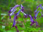 20060421ktn15.jpg
