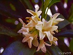 20060421ktn19.jpg