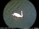 P1010006.jpg