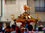 P1010047.jpg