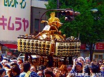P1010051.jpg