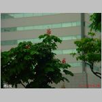 DSC06502.jpg