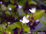 RIM00059.jpg