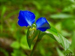 RIM00023.jpg