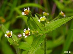 RIM00011.jpg