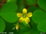 RIM00032.jpg