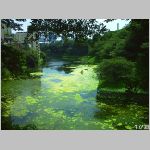 20060731ktn01.jpg