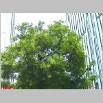 20060731ktn03.jpg