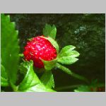 20060731ktn05.jpg