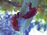 20060817ktn01.jpg