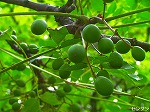 20060817ktn02.jpg