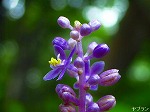 20060817ktn04.jpg