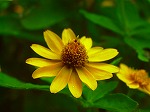 20060817ktn06.jpg