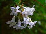 20060817ktn07.jpg