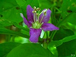20060817ktn09.jpg