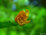 20060817ktn12.jpg