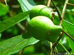 20060817ktn14.jpg