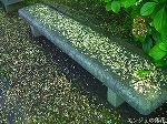 RIM00040.jpg
